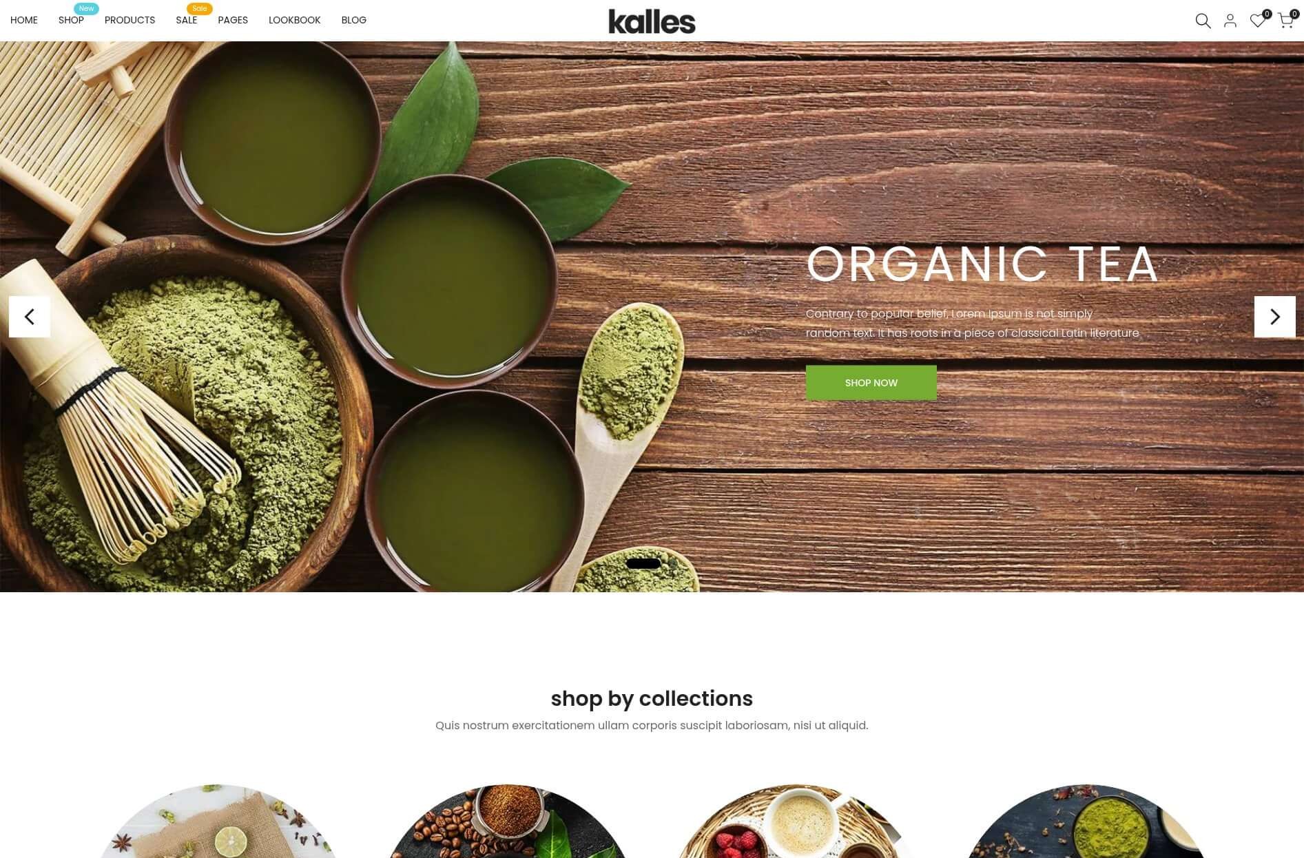 Bloom & Co — E-Commerce Skincare Store